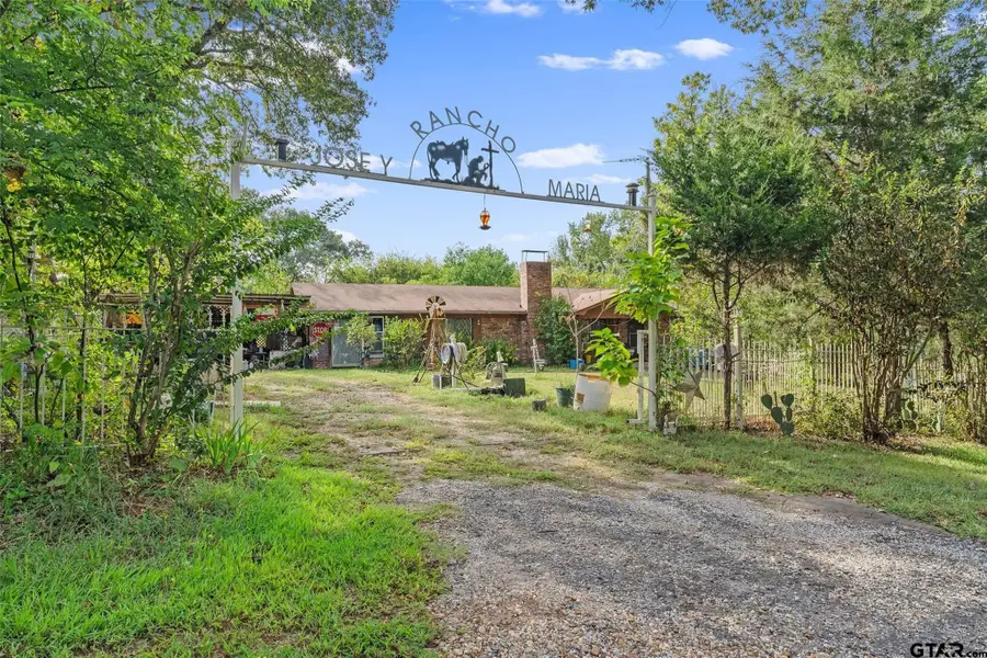 2605 VZ County Road 4923, Ben Wheeler, TX 75754 - #2