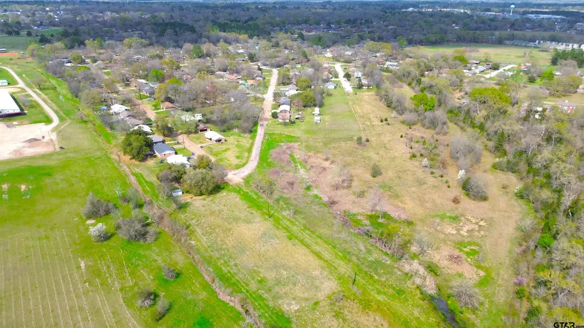17 LOTS Hooks, Forehand, & McDuff Street, Crockett, TX 75835 - #1