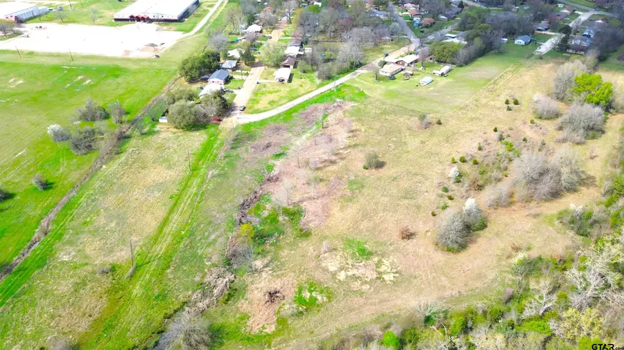 17 LOTS Hooks, Forehand, & McDuff Street, Crockett, TX 75835 - #3