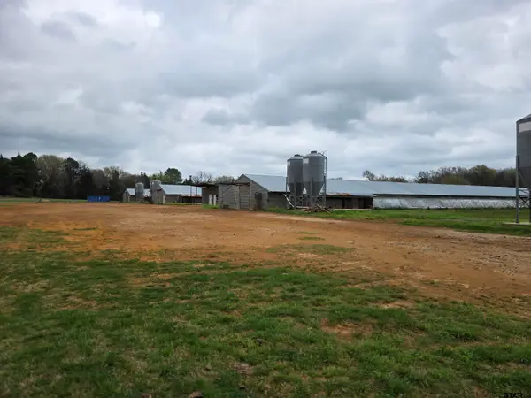 1886 Opossum Rd, Pittsburg, TX 75686