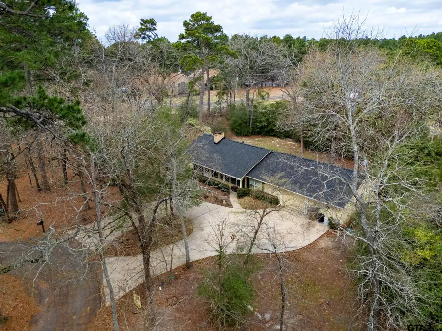 138 GREEN KNOLL, Holly Lake Ranch, TX 75765 - #2