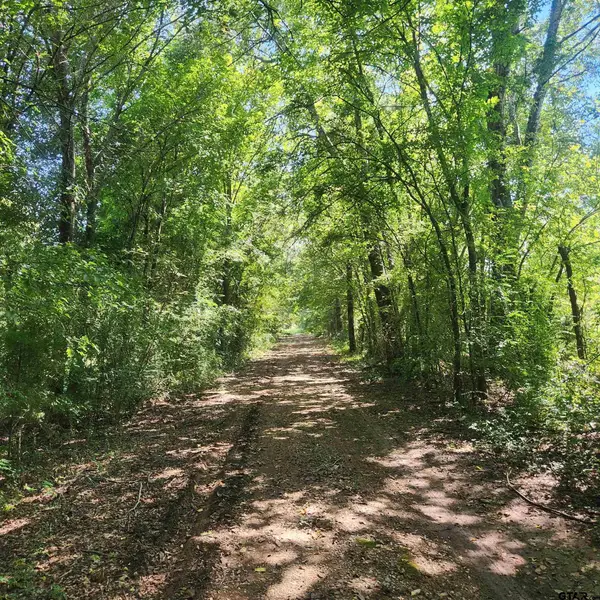 0 S Vivian St, Lindale, TX 75771