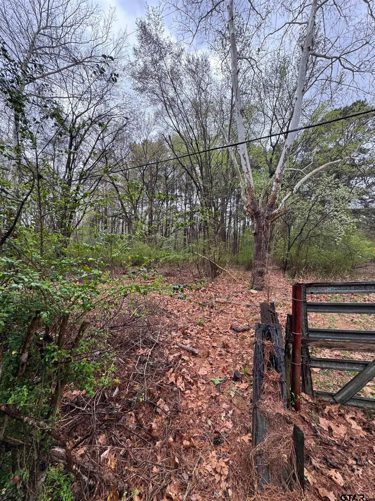 0 Elysian Feilds Ave, Marshall, TX 75670 - #1