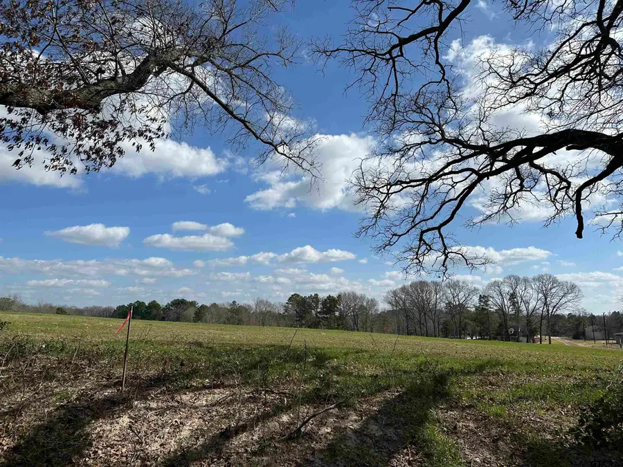 TBD LOT 2 COUNTY ROAD 401, Henderson, TX 75654 - #2