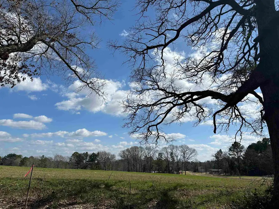 TBD LOT 2 COUNTY ROAD 401, Henderson, TX 75654 - #3