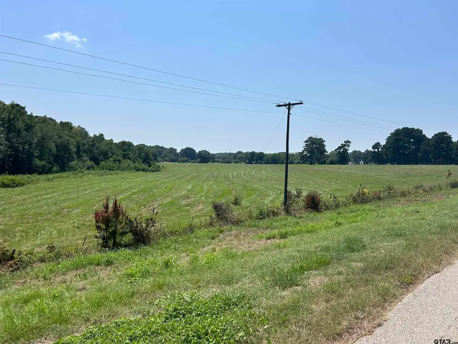 22173 HWY 135, Troup, TX 75789 - #3