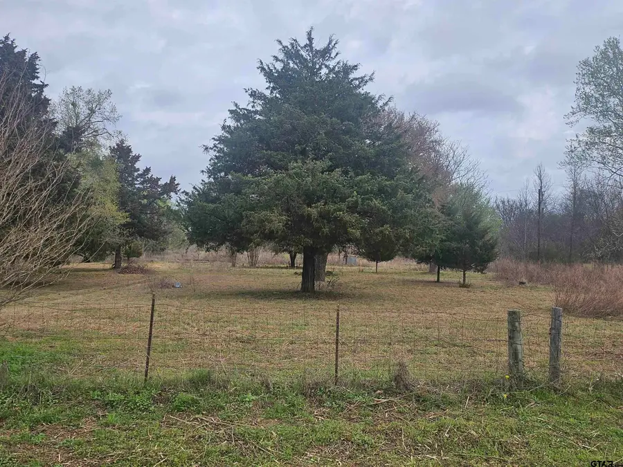 22401 CR 2290, Arp, TX 75750 - #2