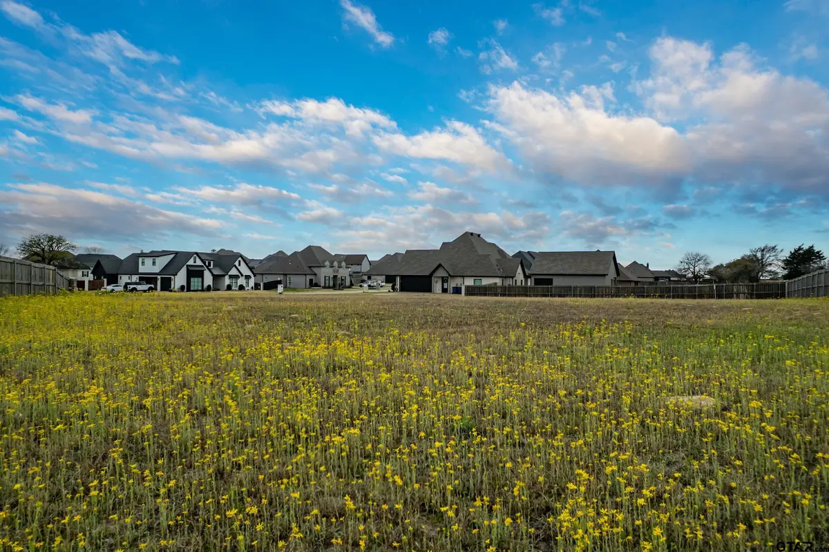 395 Bush Buck Way, Bullard, TX 75757 - #1