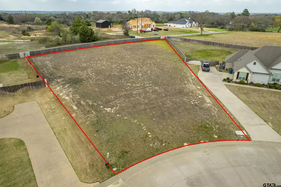 395 Bush Buck Way, Bullard, TX 75757 - #3