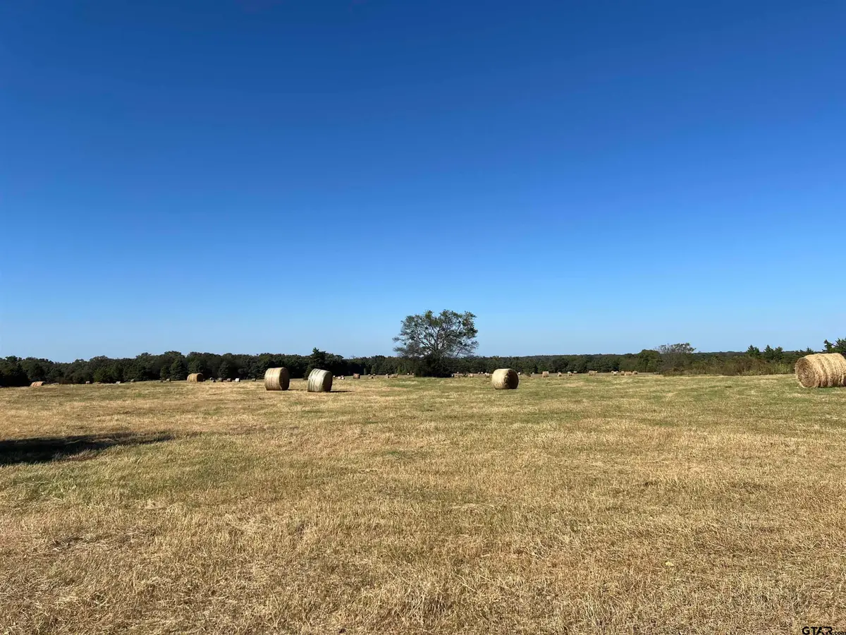 TBD SW CR 3010, Mount Vernon, TX 75457 - #1