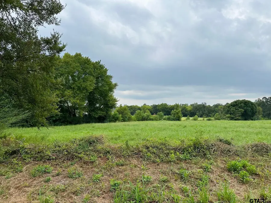 TBD CR 192, Tyler, TX 75703 - #2