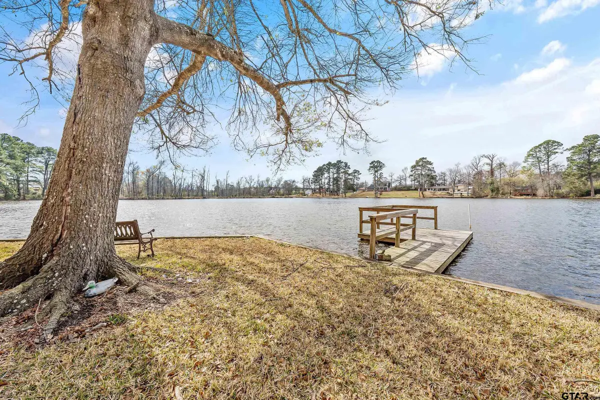 10202 E LAKESHORE DRIVE, Tyler, TX 75709 - #1