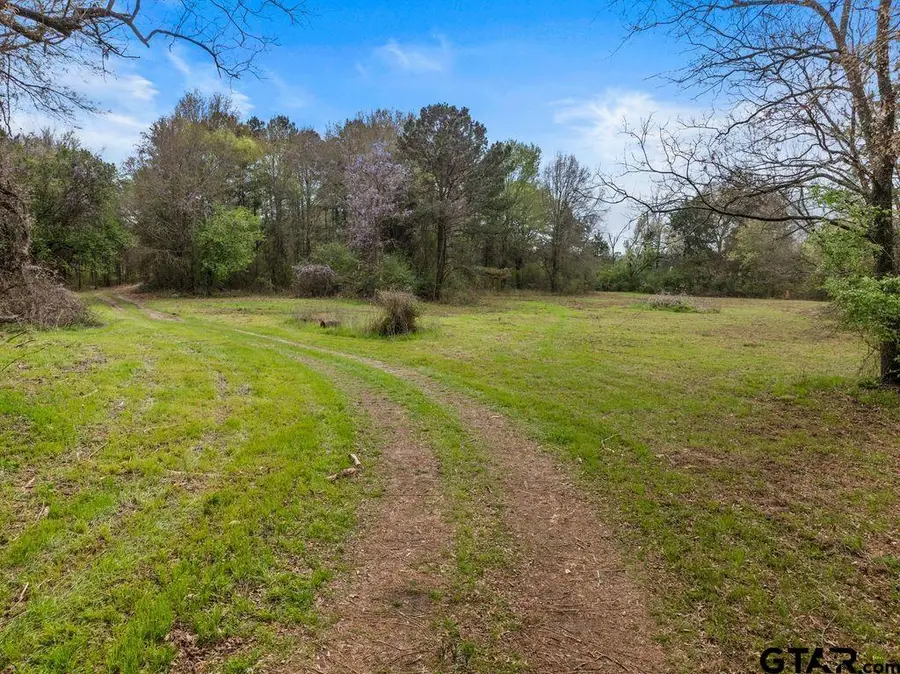 CR 1124 W Old HWY 11, Daingerfield, TX 75638 - #3