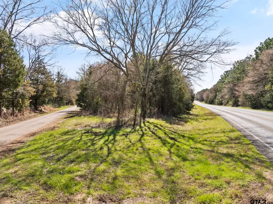 Lot 8 CR 1350, Pittsburg, TX 75686 - #2