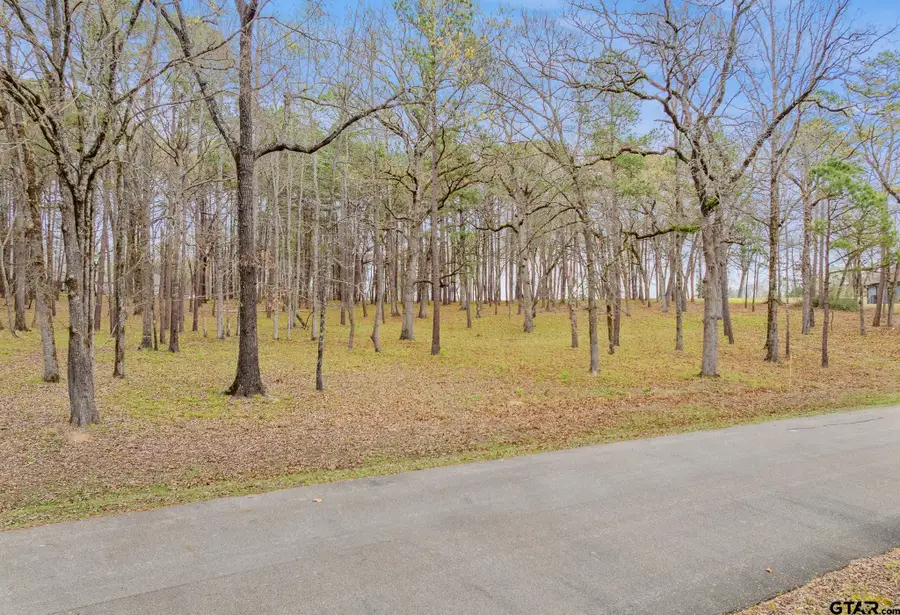 15407 Sunrise Lake Crt, Tyler, TX 75707 - #3