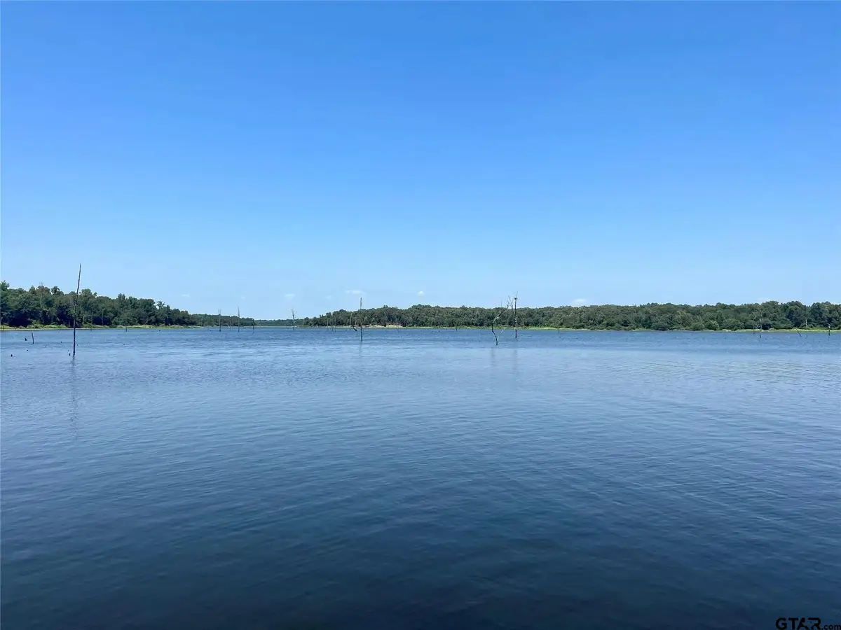 1 Angler Shores Drive, Yantis, TX 75497 - #1