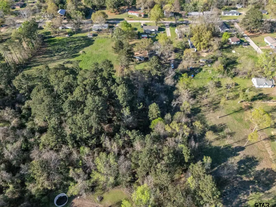 TBD S Alma, Troup, TX 75789 - #3