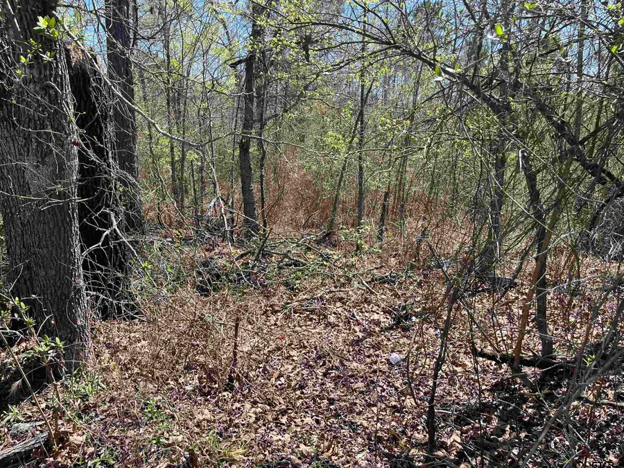 0000 EVERITTE RD, Marshall, TX 75672 - #3