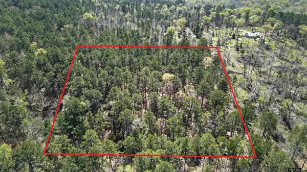 0 AN Country Road 3193, Frankston, TX 75763