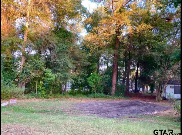 262 E Walnut Trail, Murchison, TX 75778