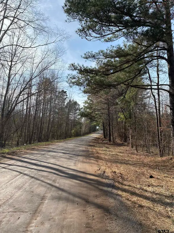 TBD CR 244 Tract 2, Overton, TX 75684