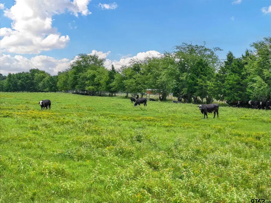 Tract 10 County Road 3415, Jacksonville, TX 75766 - #3