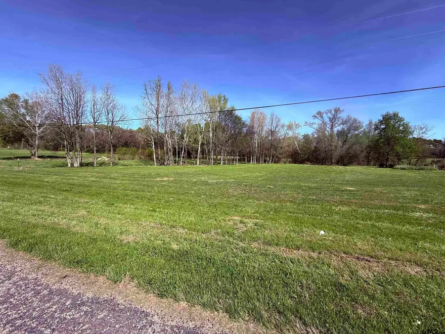 TBD E Hwy 11, Winnsboro, TX 75494 - #3