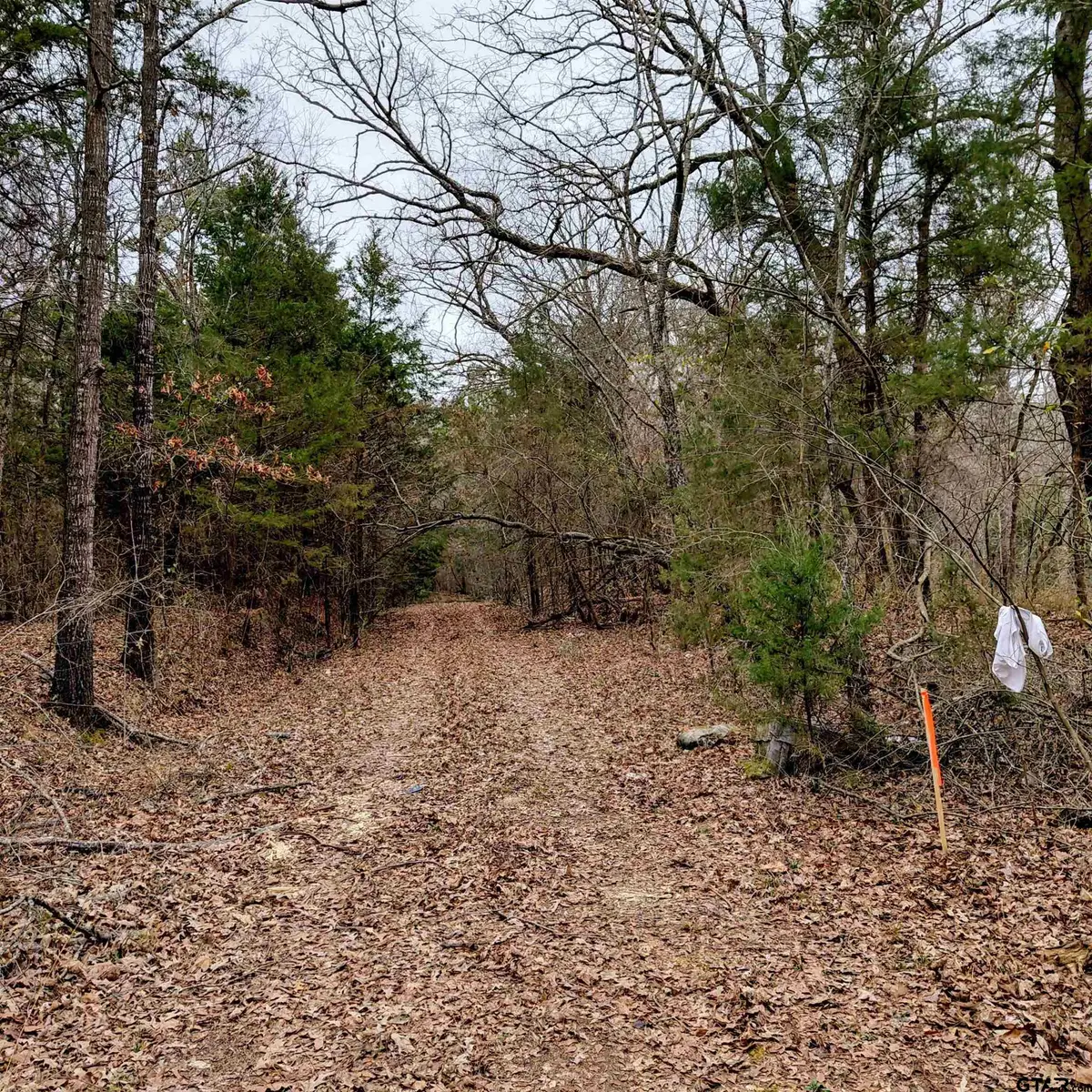 TBD C R 4314, Dalby Springs Simms, TX 75559 - #1