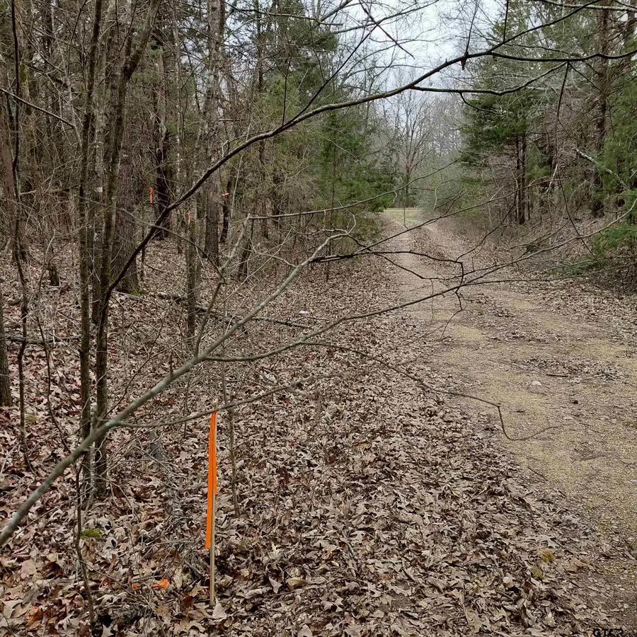 TBD C R 4314, Dalby Springs Simms, TX 75559 - #2