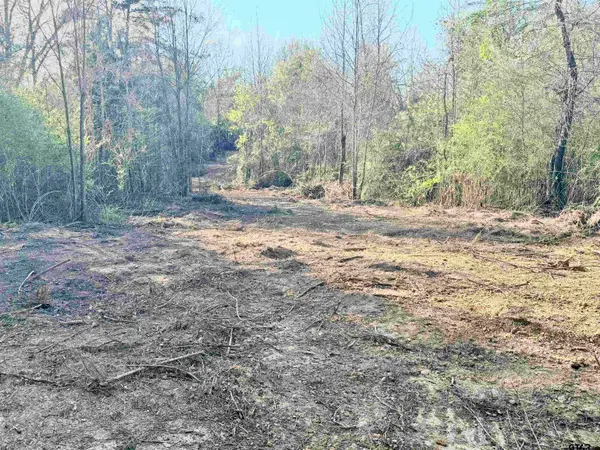 TBD FM 345, Arp, TX 75750