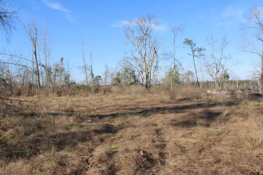 TBD CR 1627, Rusk, TX 75785 - #2