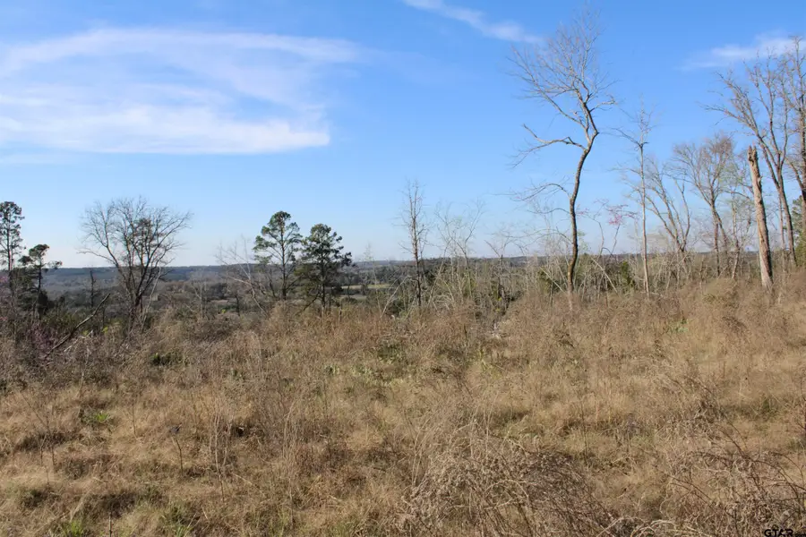 TBD CR 1627, Rusk, TX 75785 - #3