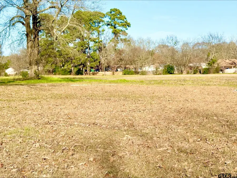 400 HILL AVE, Pittsburg, TX 75686 - #3