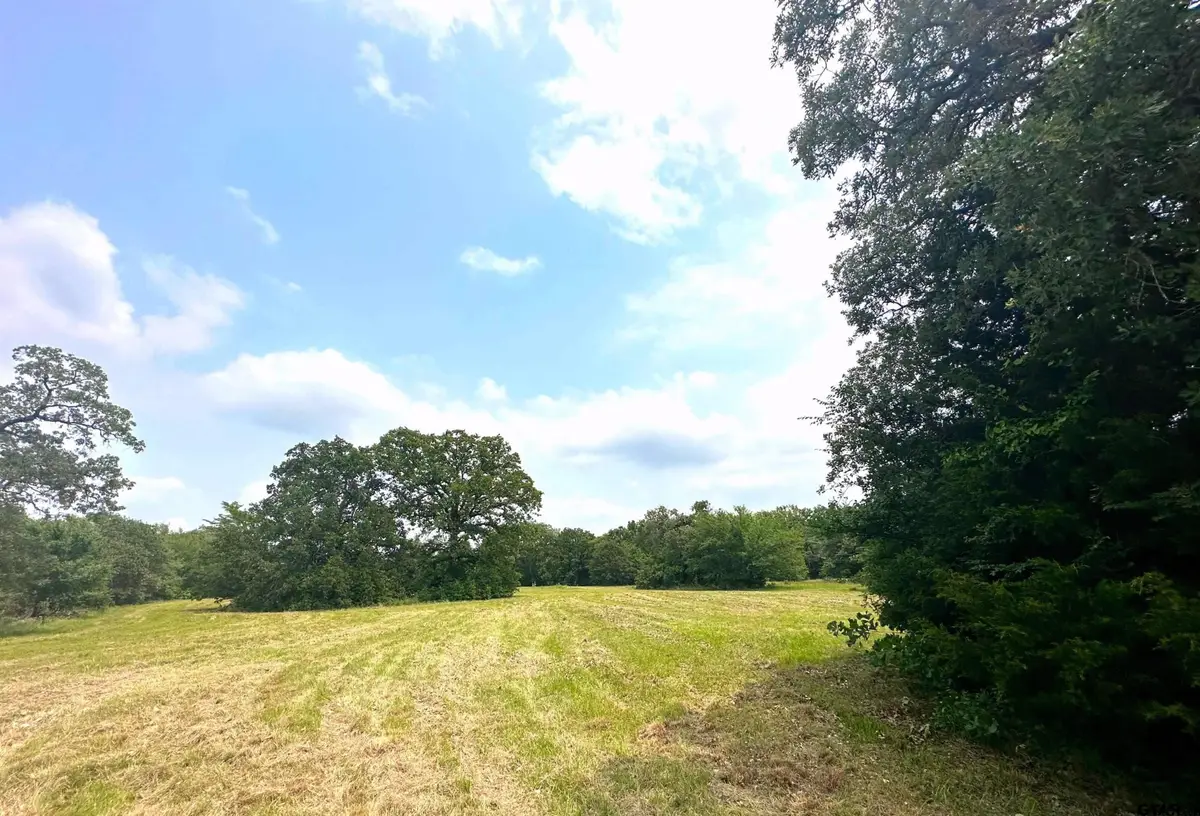 TBD CR 1405 Lot 6, Athens, TX 75751 - #1