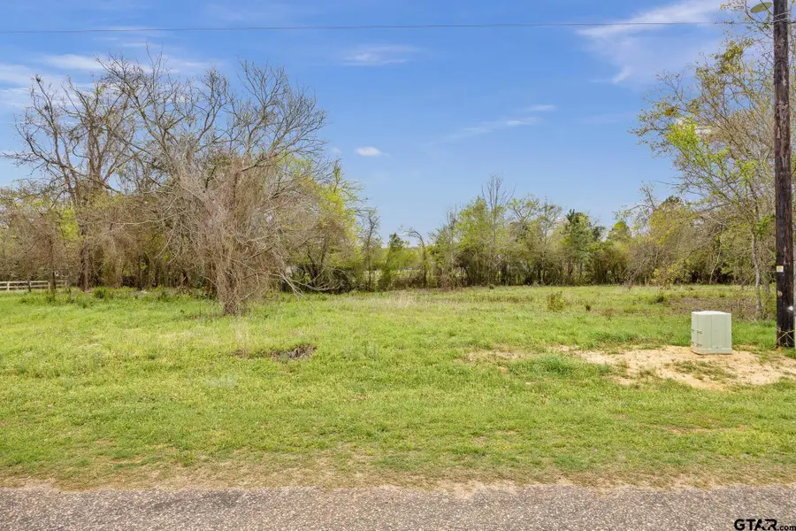 TBD lot 25 and lot 26, Frankston, TX 75763 - #2