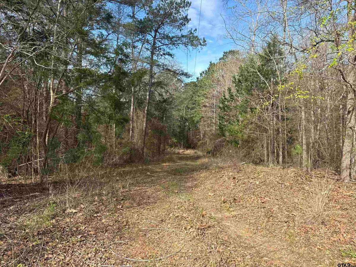 15485 Cr 46, Tyler, TX 75704 - #1