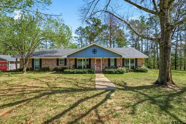 10763 S CR 461, Laneville, TX 75667