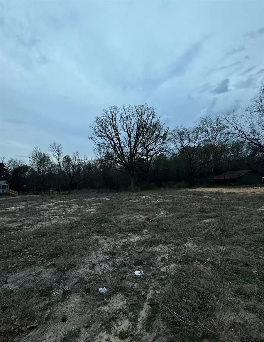 TBD HWY 80 E Southside, Mineola, TX 75773 - #2