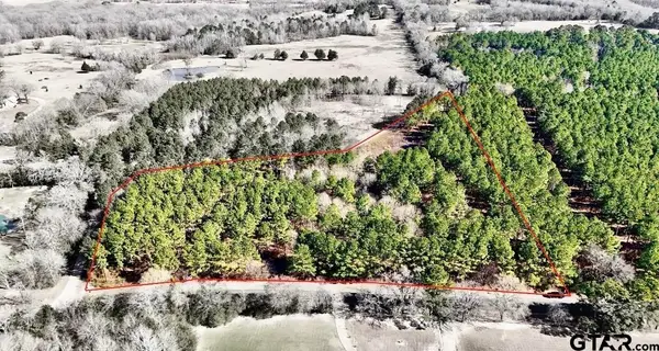 TBD Cr 2138, Troup,  75789