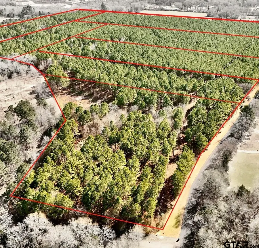 TBD Cr 2138, Troup, TX 75789 - #2