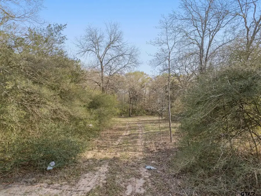 TBD County Road 4610 (Gary Rd), Athens, TX 75752 - #2