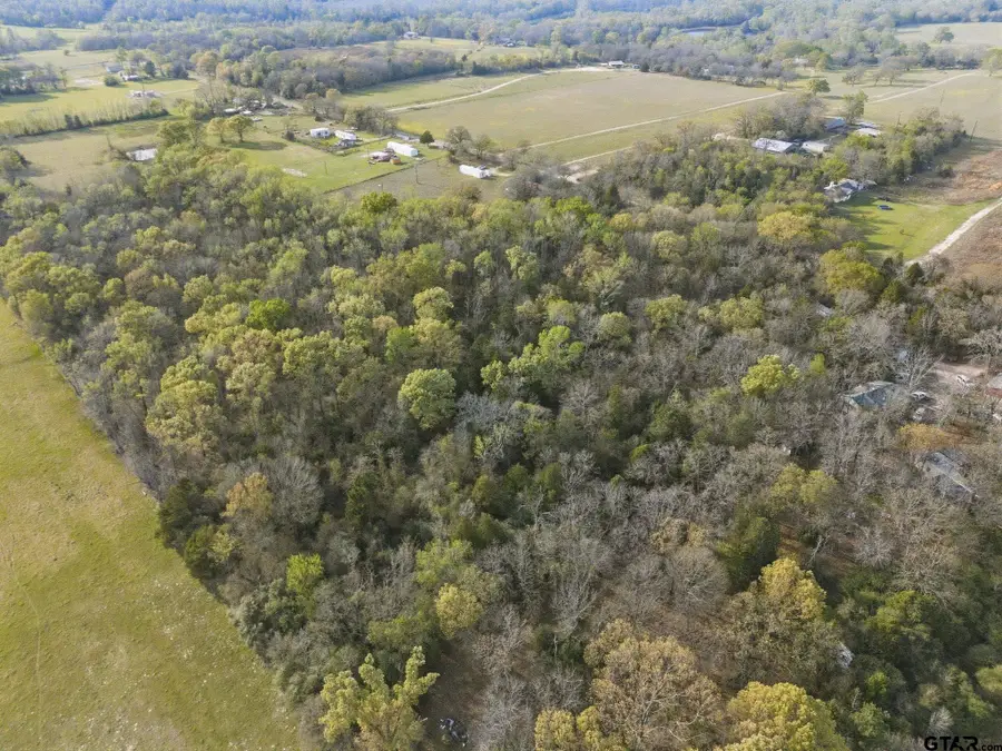 TBD County Road 4610 (Gary Rd), Athens, TX 75752 - #3