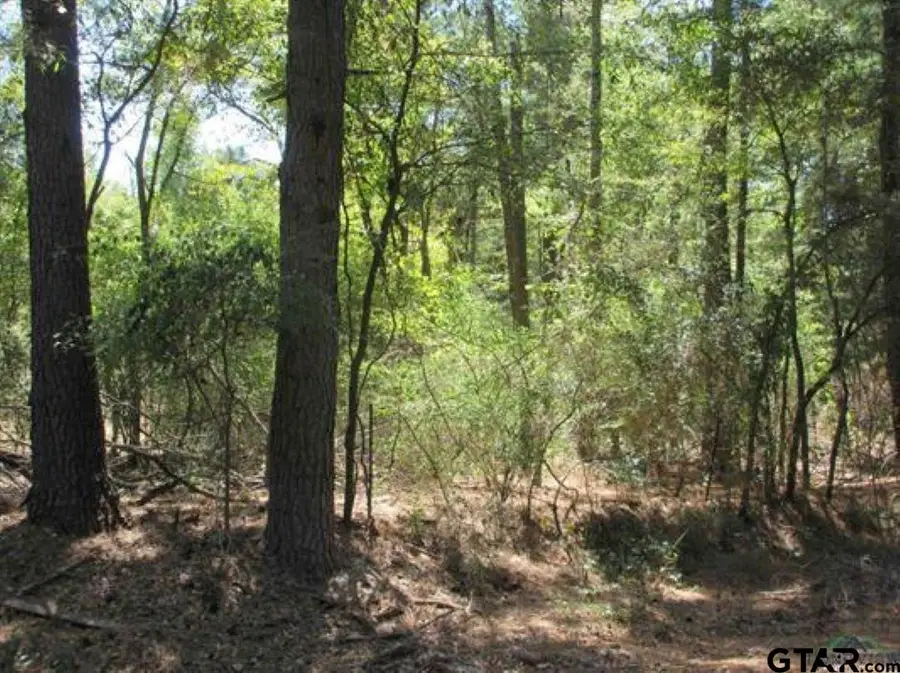 TBD Graystone Rd, Longview, TX 75604 - #3