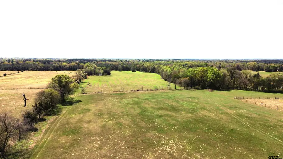 808 W FM 1519, Pittsburg, TX 75686 - #3