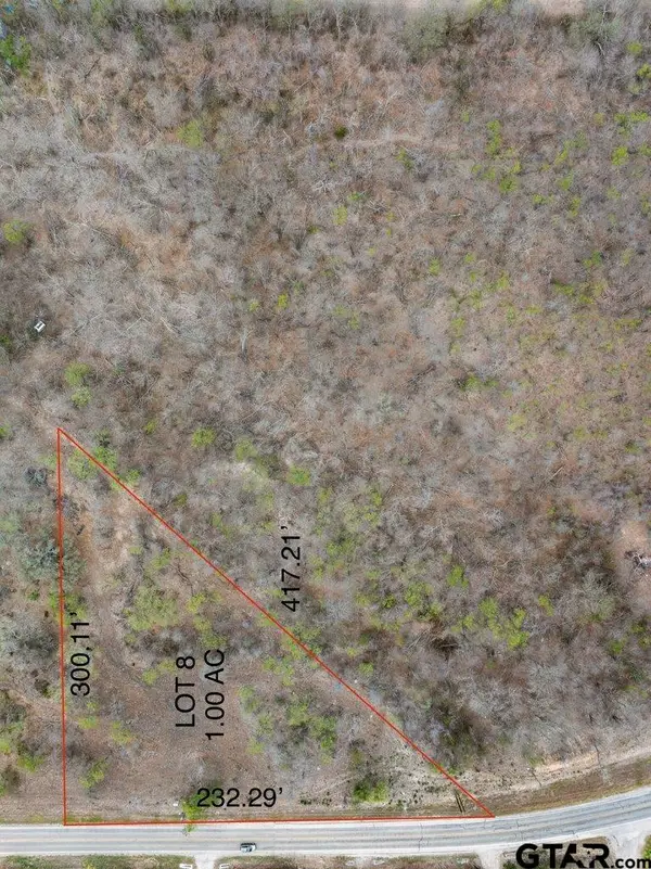 Lot 8 FM 1979, Martindale, TX 78655