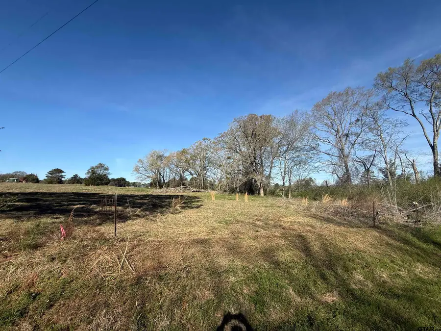 TBD Lot 3 CR 476, Henderson, TX 75654 - #2