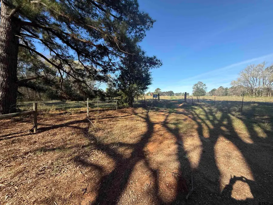 TBD Lot 4 CR 476, Henderson, TX 75654 - #3