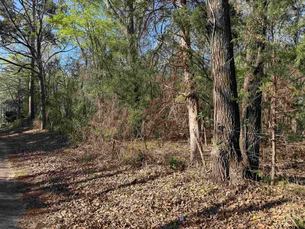 TDB Lot 5 CR 476, Henderson, TX 75654