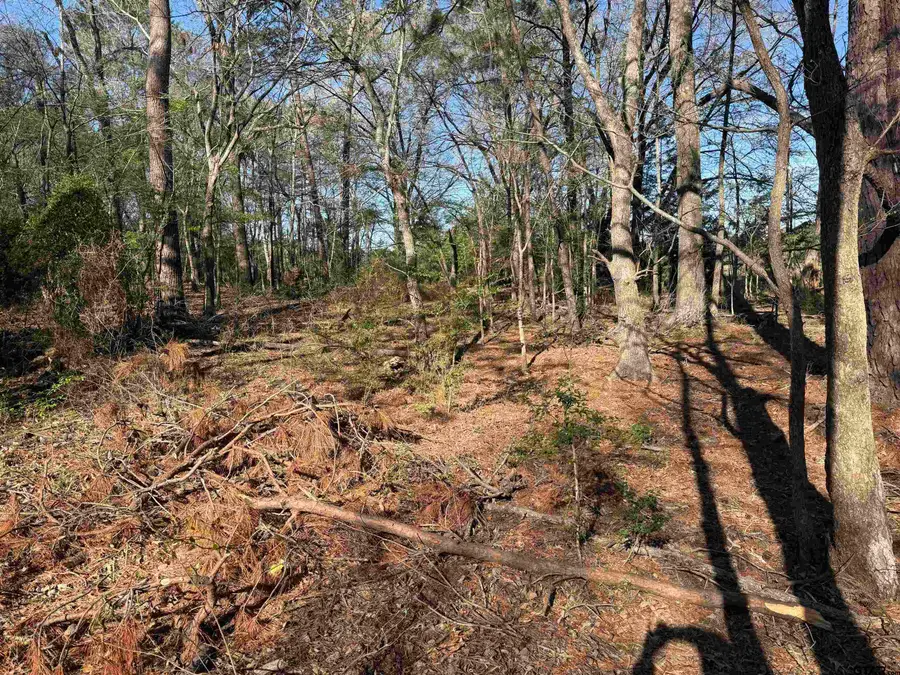 TBD Lot 5 CR 476, Henderson, TX 75654 - #2