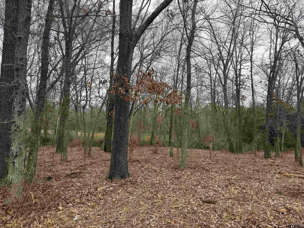 TBD Florence St. Lot 7, Grand Saline, TX 75140 - #1